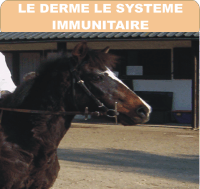 Les problemes de peau, 